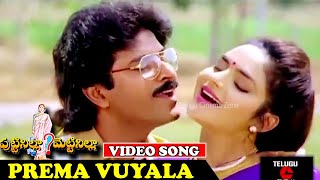 PREMA VUYALA  VIDEO SONG  PUTTINILLA METTINILLA  BHANU CHANDER  MADHUBALA  TELUGU CINEMA ZONE [upl. by Nosnar]