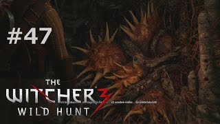 47 Der Geist des WaldesLets Play The Witcher 3 Wild Hunt DEHDBlind [upl. by Aikan]