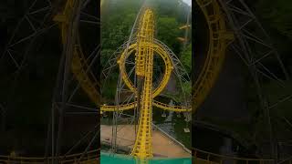 This Roller Coaster Nearly CRASHES into the Water Loch Ness Monster  Busch Gardens shorts [upl. by Haeluj379]