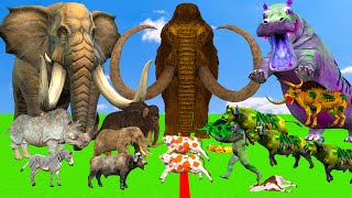 Giant Mammoth Elephants vs Zombie Hippo vs 5 Giant Lion Tiger Attack Baby Zebra Cow Buffalo Gorilla [upl. by Aehcsrop]