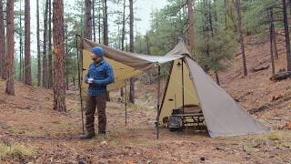 Solo Camping in Rain in Cozy Tent with My Dog  Wilderness ASMR [upl. by Meek]