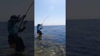 Shore jigging is my favorite game 💪 fishing nature fyp seanature صيد صيدالسمك pescadores [upl. by Dorotea]