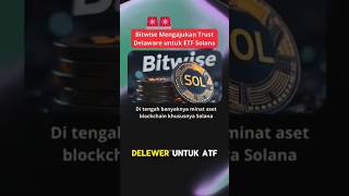 Bitwise Mengajukan Trust Delaware Untuk ETF Solana [upl. by Ibbison63]