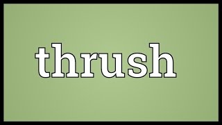 Thrush Meaning [upl. by Oah611]