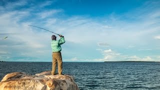 Lake Tanganyika 2016 [upl. by Adaran]