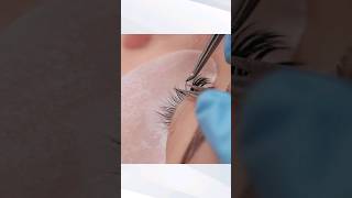 Video Corso Extension ciglia One to One e Volume americanails lashes Extensionciglia videocorsi [upl. by Tneicniv515]