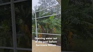 Drain water from your pool before a hurricane permaculturegarden gardening hurricane [upl. by Neelrahs]