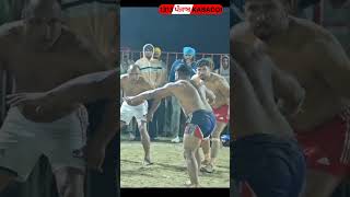 1313 punjab kabaddi [upl. by Isadore]