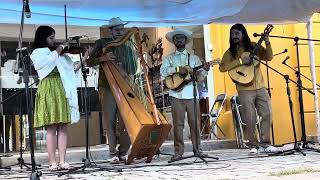 CHAPALA MÉXICO CONCERT EVENT  MEETING OF THE HARPS PSALTERIES AND MORE … [upl. by Rycca]