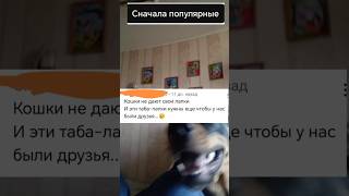 Норма или нет 🙀 Смотри новое видео😸 [upl. by Subak622]