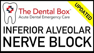 Inferior Alveolar Nerve Block [upl. by Thynne334]