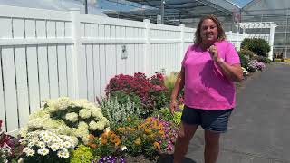 New Proven Winner Annuals for 2025 Garden Tour Early July [upl. by Yrak]