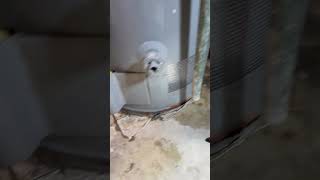 IS YOUR WATER HEATER LIKE THIS ITS WRONG  Watchdiy plumber [upl. by Ardena]