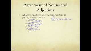 First and Second Declension Adjectives [upl. by Marasco]