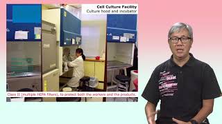 Cytotoxicity Assays 1 In vitro study and cell culture [upl. by Freeland]