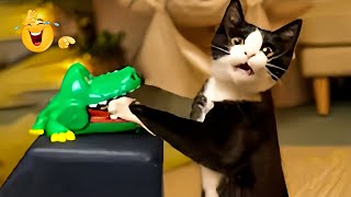 The Funniest Videos About Cats And Dogs of 2024 😂The Funniest Videos About Animals 🐾 [upl. by Aneetsirk]