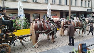 Fürth Michaelis Kirchweih 2024  36 Min Festzug Hammer Genial Spaß Bier 🍻🍺✅ [upl. by Osrick]