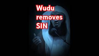 Wudu Removes Sin islamicshorts muftimenkmenk islam [upl. by Aihseym]