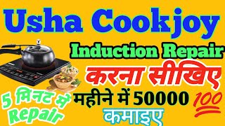 Induction Cooktop Repair The Usha Induction Cooktop Chronicles [upl. by Eevets]