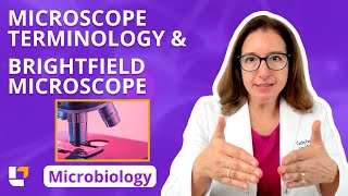 Microscope Terminology amp Brightfield Microscope  Microbiology for PreMed  Nursing ​⁠ leveluprn [upl. by Asserac]