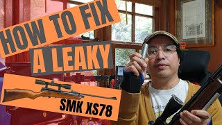 DIY XS78 QB78 Extraction tool to Remove Leaky CO2 Valve [upl. by Macomber]