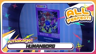 【maimaiでらっくす】HUMANBORG でらっくす譜面 MASTER ALL PERFECT 【直撮り】 [upl. by Wahlstrom]