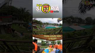 Trong Leisure Farm amp Resort 2022 afastoria shorts vacation [upl. by Ciro]