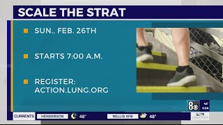 Scale the Strat registration underway [upl. by Harcourt517]