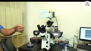 Understanding the ICSI Procedure  Explained by Senior Embryologist Atif Yar Khan [upl. by Caraviello343]