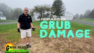 How to Repair Grub Damage in Your Lawn [upl. by Nyvrem]