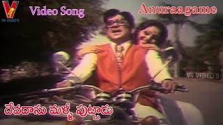 ANURAAGAME VIDEO SONG DEVADASU MALLI PUTTADU  ANR  VANISRI  V9 VIDEOS [upl. by Dinnie]