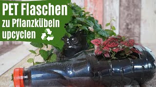 Pflanzkübel selber bauen aus einer alten Plastikflasche [upl. by Budd594]