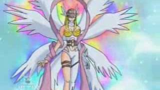 Kari makes Gatomon digivolve into Angewomon [upl. by Shalne]