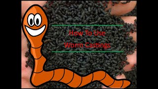 How To Use Worm Castings [upl. by Bailar]