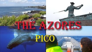 Travelguide The AZORES  Pico  Part 3 [upl. by Htebasyle]