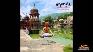 Shpongle  Ineffable Mysteries From Shpongleland FULL ALBUM [upl. by Brandie459]