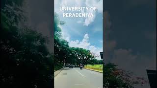 University of peradeniya Motivation ❤️🧑🏻‍🎓👨🏻‍🎓 [upl. by Quartus]