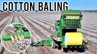 How Cotton Harvesting Works  Australian Farming  Vlog 286 [upl. by Rosy]