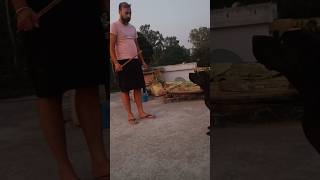 Pointer dog training subscribe shorts doglover train [upl. by Ayotnom]