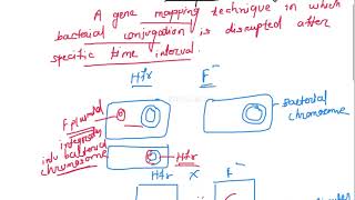 Gene mapping in bacteria  Interrupted mating problem  CSIR UGC NET exam  practice problems [upl. by Lytsirk]