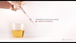 Test de drogas de DoctorTest [upl. by Esyli]