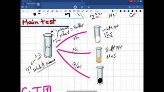 General Chemistry  Chem 101  Qualitative Analysis Of Basic Radicals Lab 4 [upl. by Gonroff]