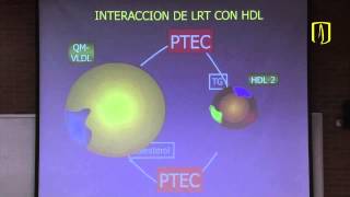 Metabolismo de lípidos  Bioquímica médica [upl. by Harold]