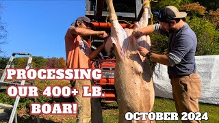 Processing Our 400 lb Boar [upl. by Hite]