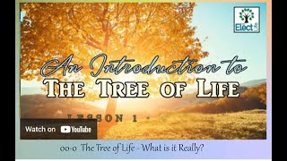 The Tree of Life What is it exactly [upl. by Surtimed]