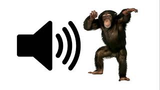 Monkey  Sound Effect [upl. by Pelson]