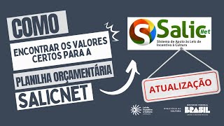 SALICNET Atualizado Como Encontrar Valores para a Planilha Orçamentária de Projetos Culturais [upl. by Gardol505]