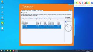How to Delete and Defrag Unwanted Snapshots in RestoreX [upl. by Dorion]