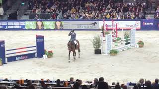 Johnnie Walker VDL Zapatero x Mermus R 2019 KWPN Stallion Show [upl. by Ethelstan]