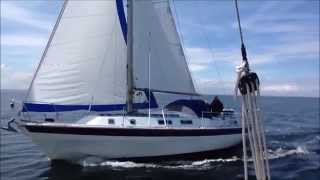 Westerly 33 quotForever Autumnquot sailing from Amble to Tynemouth [upl. by Haney187]